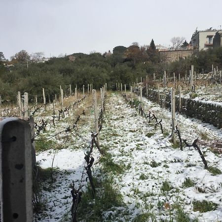 Malicodia Villa Santa Maria di Licodia Eksteriør bilde