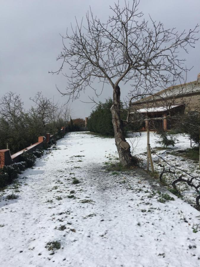 Malicodia Villa Santa Maria di Licodia Eksteriør bilde